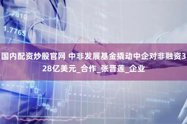 国内配资炒股官网 中非发展基金撬动中企对非融资328亿美元_合作_张晋莲_企业