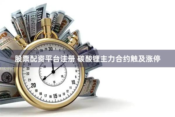 股票配资平台注册 碳酸锂主力合约触及涨停