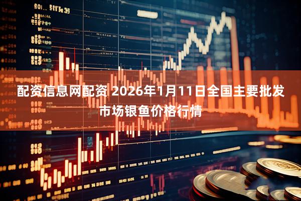 配资信息网配资 2026年1月11日全国主要批发市场银鱼价格行情